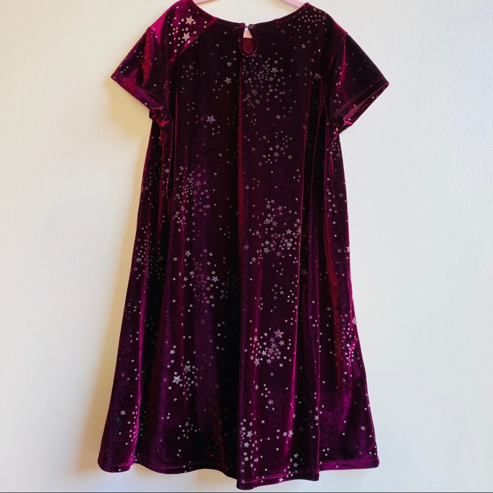 ZARA Girls Collection Purple Velour Dress